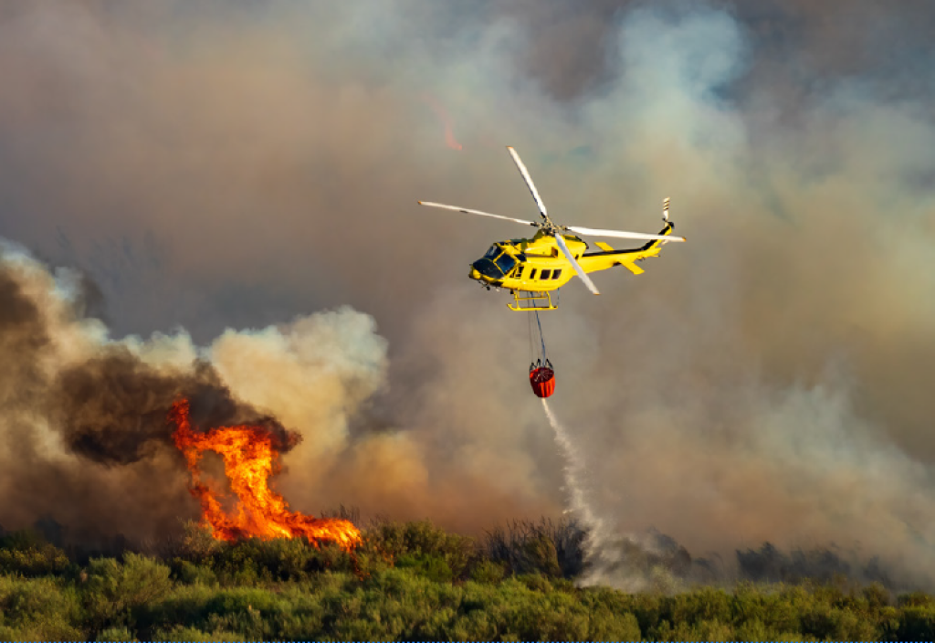 Orman Yangınlarında Lojistik Hizmetleri: Hava, Kara, Araçların ve İnsan Unsurlarının Entegre Yönetimi