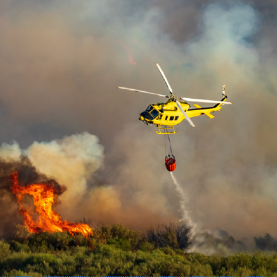 Orman Yangınlarında Lojistik Hizmetleri: Hava, Kara, Araçların ve İnsan Unsurlarının Entegre Yönetimi