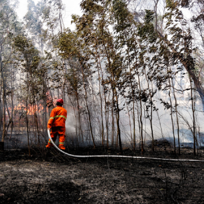 DOĞAL AFETTEN TOPLUMSAL KRİZE: Türkiye’ de Orman Yangınlarının Çok Boyutlu Analizi