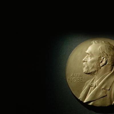 2025 Nobel Ekonomi Ödülü Üzerine