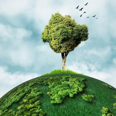 İklim Savaş Oyunları: Askerî Stratejide Yeni Bir Simülasyon Alanı