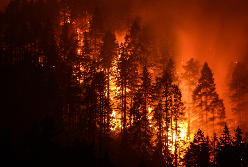 Yeşil Vatanı Korumak